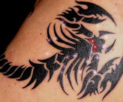 Scorpio tribal tattoo for men