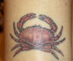 Signs cancer