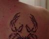45 zodiac tattoo design gallery