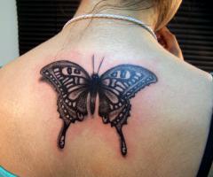 Gran mariposa con textura en espalda