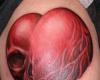 Skull heart image
