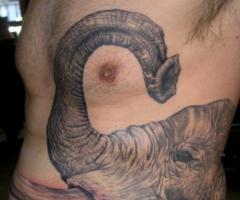 Best Elephant tattoos