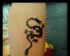 Diseño de tatuaje de dragon