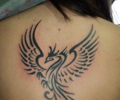 Phoenix tattoos for men and women
