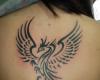 Fenix