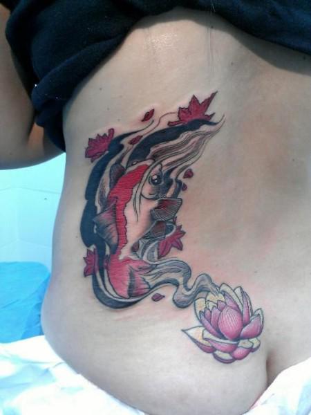 Koi fish and lotus flower