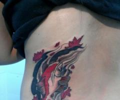 Koi fish and lotus flower