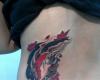 Koi fish and lotus flower