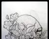 Skull sketches