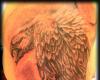 By Pedrão Tatuador