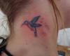 Swallow by Pedrão Tatuador