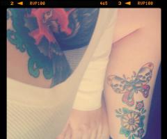 Bird, Butterfly, Flowers