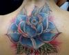 Rose blue