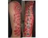 Oriental arm