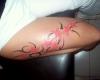 Flower Fluo