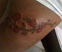 Flores de sakura