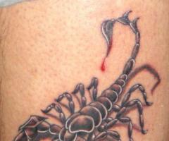 Scorpion and blood