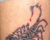 Scorpion and blood