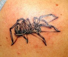 Tatuaje de araña