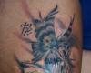 Hada con alas de mariposa y rosas