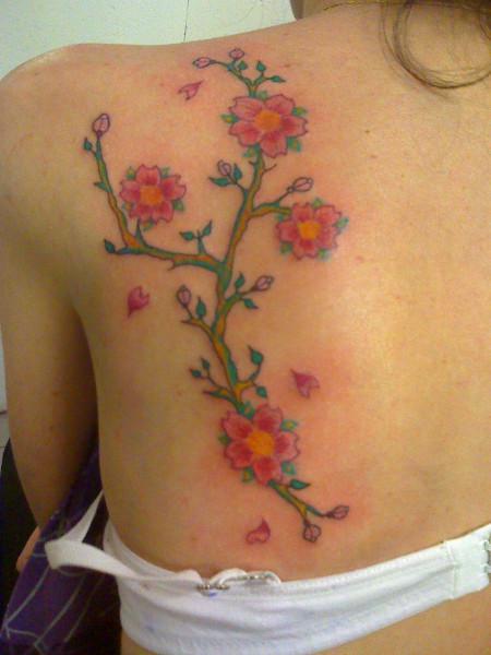 Flores japonesas