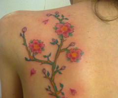 Flores japonesas