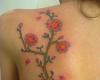 Flores japonesas