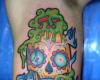Calavera y libro