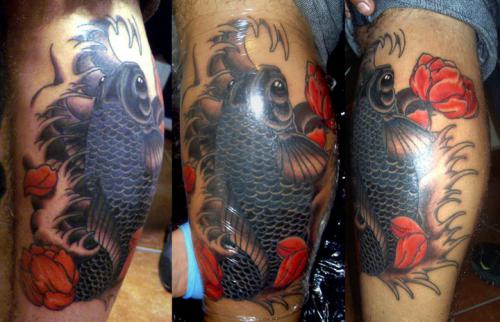 Live Japanese Koi Fish for Outdoor Ponds