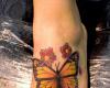 Foot butterfly picture