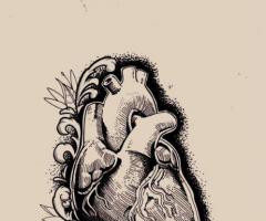 Heart drawing