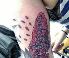Las lilas de las que hacen caramelos