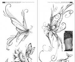 Butterfly sketch