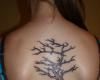 Tree tattoo for gir