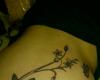 Enredaderas con mariposas