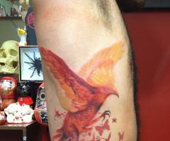 Phoenix tattoos for men and women