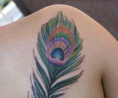 20 Beautiful Ideas of Peacock Feather Tattoo Designs