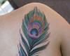 Peacock feather tattoo