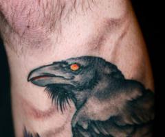Tatuajes de Cuervos