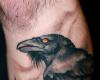 Tatuajes de Cuervos