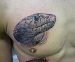Serpiente realista saliendo del cuerpo