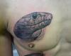 http://www.tattooset.com/images/tattoo/2012/11/07/11897-serpiente-realista-saliendo-del-cuerpo_tiny.jpg