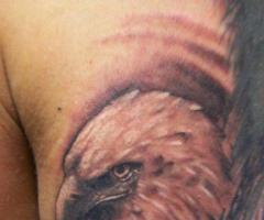 Tattoo photo realistic Eagle