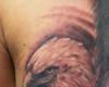 Tattoo photo realistic Eagle