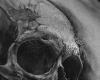 Realistic black and white skull picture
