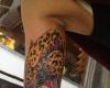 http://www.tattooset.com/images/tattoo/2012/11/07/11958-tyler-monaghan-tattoos_tiny.jpg