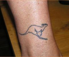 Bay tattoo kangaroo
