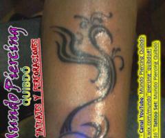 Ave Fenix Pierna 2
