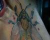 http://www.tattooset.com/images/tattoo/2012/11/08/12000-wasp-tattoo-picture_tiny.jpg