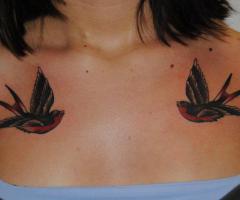 Couple of swallows
